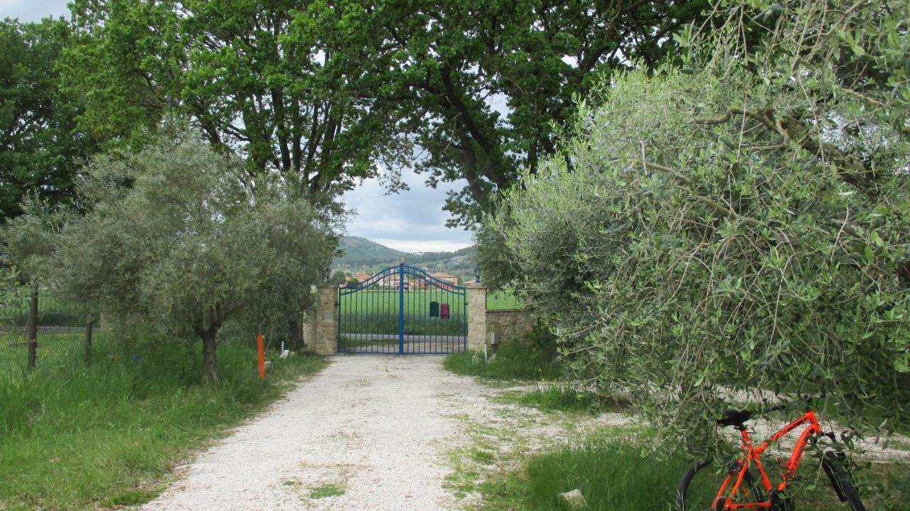 Relais"La Cappuccina" Rooms&Apartments Assisi Bagian luar foto